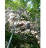 Enojna plezalna vrv Edelrid Boa 9,8 70m