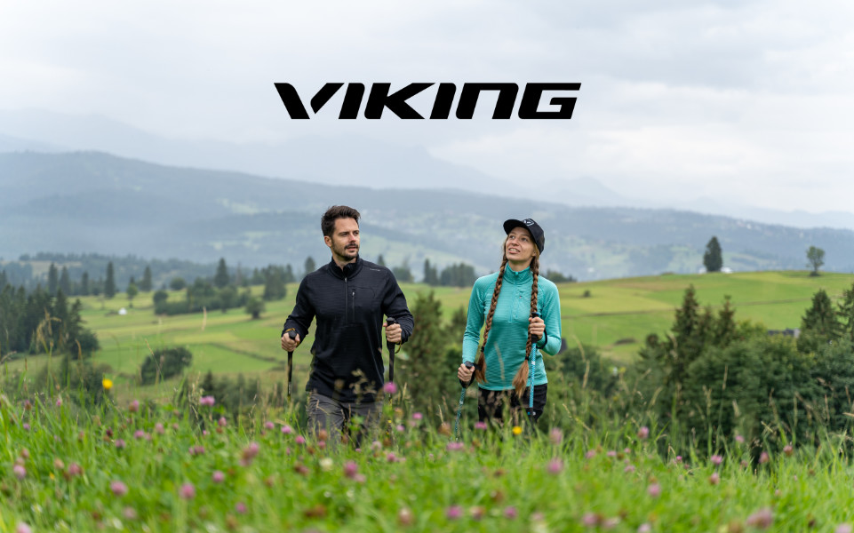 viking_mobile