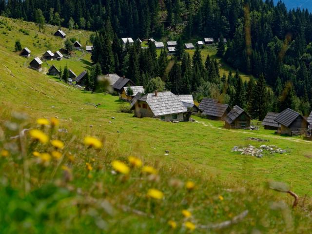 Top 5 najlepših bohinjskih planin