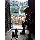 Ženski visoki pohodniški čevlji Salewa MTN Trainer Mid GTX