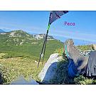 Ženski visoki pohodniški čevlji Salewa MTN Trainer Mid GTX