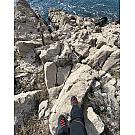 Ženski visoki pohodniški čevlji Salewa MTN Trainer Mid GTX