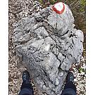 Ženski visoki pohodniški čevlji Salewa MTN Trainer Mid GTX