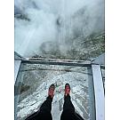 Ženski visoki čevlji Salewa MTN Trainer Lite Mid GTX