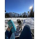 Termovka SnowMonkey Traveler 1L 2.0