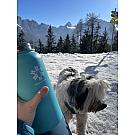 Termovka SnowMonkey Traveler 1L 2.0