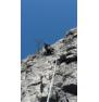 Enojna plezalna vrv Edelrid Boa 9,8 60m